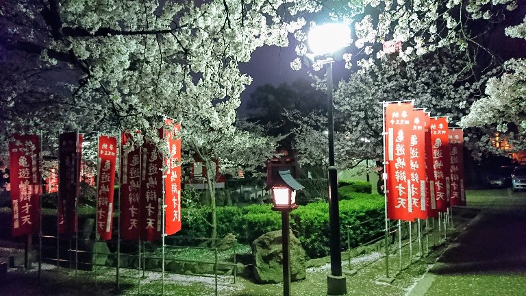 夜の四天王寺探索 桜 南のおでかけ散歩